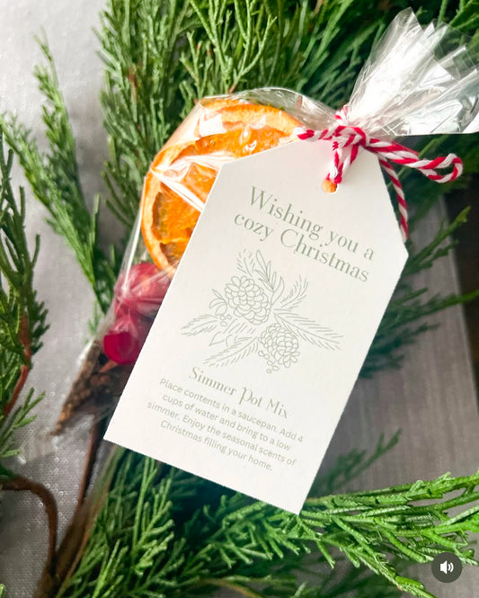 Amazing Simmer Pot - Perfect Holiday Gift